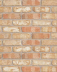 Thin Clay Brick Veneer - Premium Thin Brick Chicago Common Veneer for interior and exterior walls only by Mouldex Composites