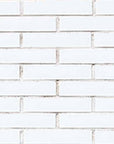 Snowfall clay brick veneer | StoneRox